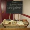 Exposition 