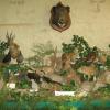 Exposition 
