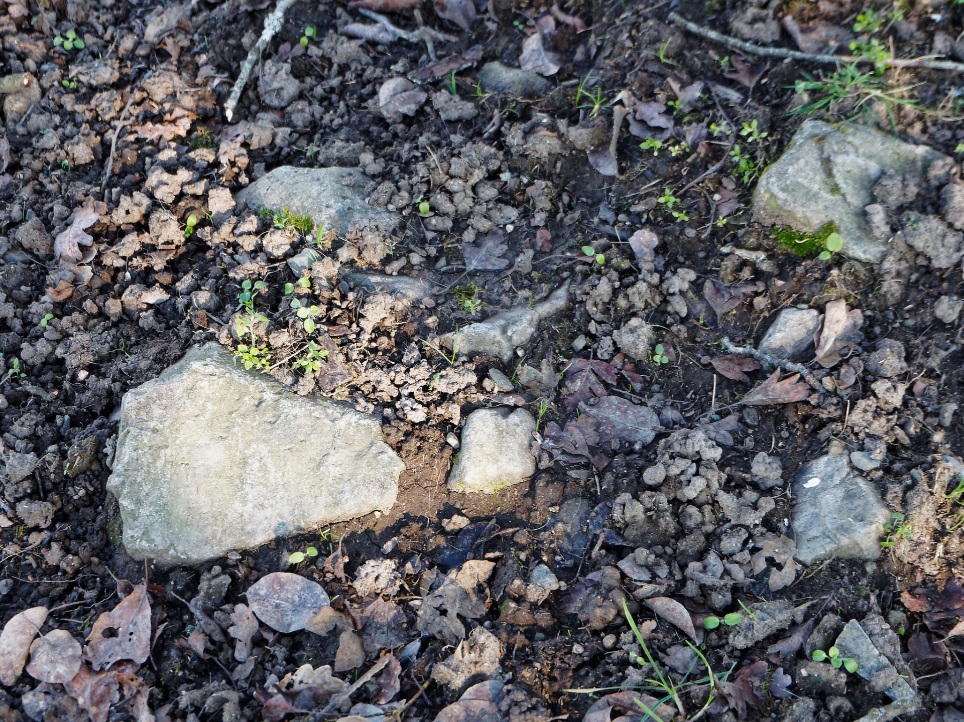 Le creux 16 web