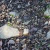 Le creux 16 web