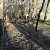Le creux 19 web